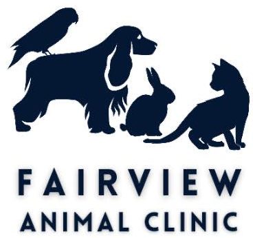 Veterinarian in Fairview, TN | Fairview Animal Clinic